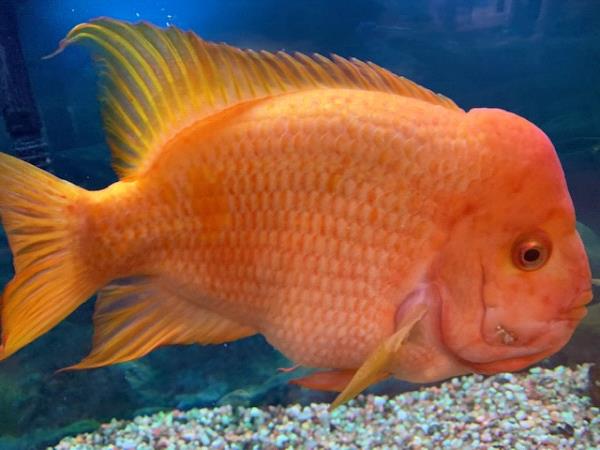 /Images/uploads/Congregation Beth Emeth/bethemeth/entries/17615thumb.jpg